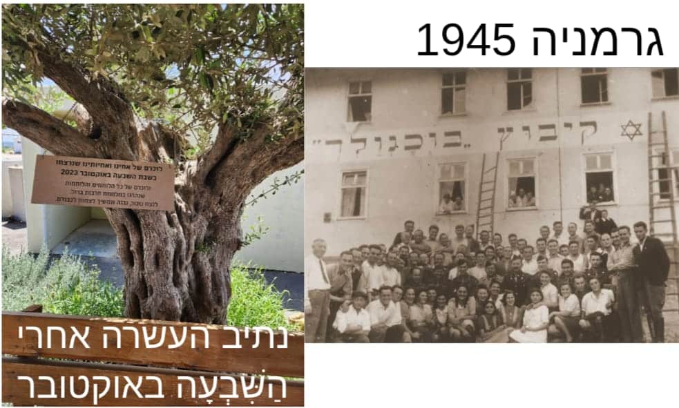 מימין - קיבוץ בוכנוואלד בזמן ההכשרה בגרמניה. משמאל עץ זית ב'נתיב התקוה' - אתר הזכרון של נתיב העשרה